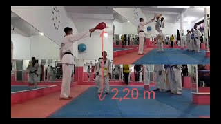 Taekwondo