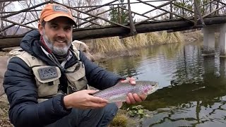 Este lugar te permite CAPTURAR PECES desde el PRIMER LANZAMIENTO. (segunda parte)