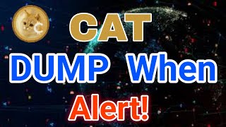 1000CAT Coin  Huge EXPLOSION!  Price Prediction