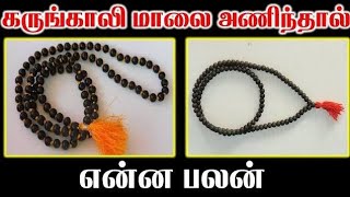 கருங்காலி மாலை பயன்கள்: அற்புதமான மருத்துவ பலன்கள் Karungali Maalai