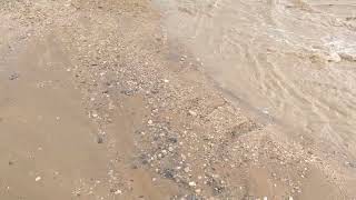 Monsoon flashflood aftermath in Mohave Desert 🏜️