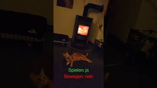 Katze will mit der angel spielen , ist aber zu faul dafuer auf zu stehen.