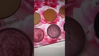 Swatches of the Laura Lee Cat’s Pajamas Eyeshadow Palette!!!