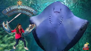 My sealife experience at St. Louis Aquarium| fun with the family| virtual train experience