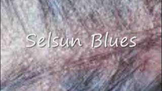 Selsun Blues_0001.wmv