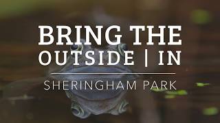 Bring The Outside In 3   Sheringham Park