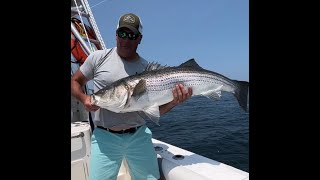 Massive Southern Maine Striped Bass with Captain Tom Brown Part III:  Trips on the Boat S4: E12