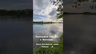 #рыбалка #Волга #река #ахтуба #дон #волгоград