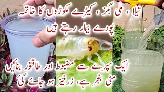 Organic Pesticide, Fungicide & Fertilizer for Plants | Podon ko Keere se Kaise Bachae | Heathy Plant