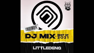 LittleDen Best Of Bigroom 2021