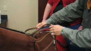 Steve Lantvit "Cutters Cross" Reining Demo