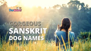 55+ Gorgeous SANSKRIT DOG NAMES (with Meanings!) | PupNames.com