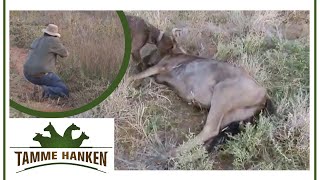 Jagdfieber! Tamme in Namibia auf Jagd | Tamme Hanken | Kabel Eins