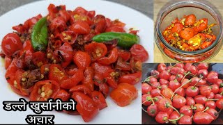 डल्ले खुर्सानीको अचार || Dalle khursani ko Achar || Akabare Khursani ko achar || Round Chilly Pickle