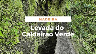 Levada do Caldeirao Verde Madeira