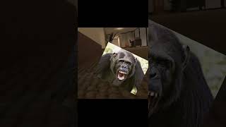 chimp gets chased in Prop Hunt (PAVLOV UPDATE 29)...