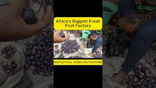 Africa's Largest Fresh Fruit Market. #fruit #streetfood #2024