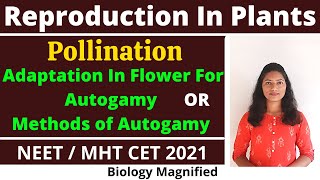 Chasmogamy, Homogamy, Cleistogamy | Adaptations of Autogamy | Pollination | Reproduction in Plants