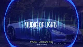 ORGAN - Cricket (we nice) - Mixed by  STUDIO OF LIGHTS