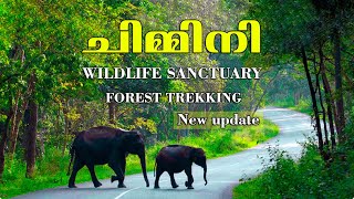 Chimmony Forest Trekking | ഒരു കിടിലൻ വ്ലോഗ് | Deep Forest Trekking | Chimminy Dam & Wildlife