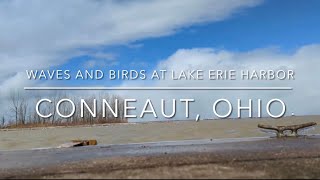 [4K] Lake Erie Harbor, OH US  - Waves crashing, lighthouse, and birds in Conneaut Ohio