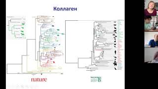 Mikhail Gelfand "Molecular Evolution"