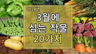 2024년 3월에 심는 작물 20가지 알아보기