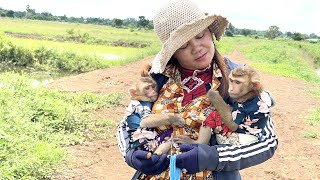 A good mother with Two smart baby monkeys in river today