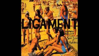 Ligament - Halfway Between San Juan And Mendoza