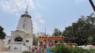 Debasnnana Purnima from tigiria//Odia Nana// Aman Vlogs