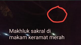 Penampakan Makhluk sakral di makam keramat merah.