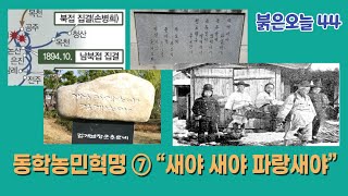 [붉은오늘-44] 동학농민혁명 ⑦ “새야 새야 파랑새야”