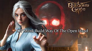 Way Of The Open Hand Monk Build Guide