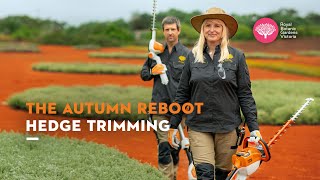 Autumn Reboot: Hedging Trimming with Royal Botanic Gardens Cranbourne