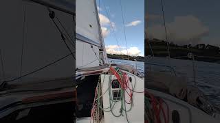 Moonfish, Beneteau 31.7 New mainsail Aaaaahhhhh 😁😁