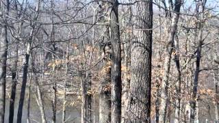 Homes for Sale - Lot 54 Green Ranch Estates Stoutsville MO 65283 - Janet Brown