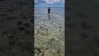 Zanzibar at low tide, walking back to the boat on Pemunda Island. #Zanzibar #Travel #Pemunda