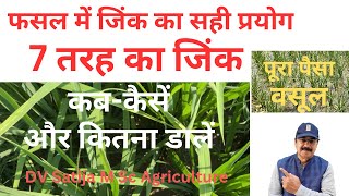 Dhan me zinc kab kaise aur kitna dale | dhan me zinc ke fayde | role of zinc in plants |