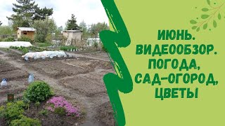 Июнь. Видеообзор. Погода,  сад-огород,  цветы