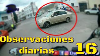 discusión con el lechero || Observaciones diarias 16