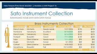 Excel Project 6b Tutorial