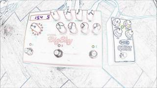 Ambient Guitar Swells with the T-Rex Quint Machine & Strymon Big Sky Reverb