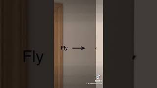 Best and most satisfying ways to kill a fly. Click link to learn more. https://youtu.be/IUEWfZ__x48