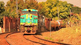 Locomotiva AC44I 9860 da Brado como líder em Cordeirópolis.