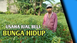 Usaha jual bunga