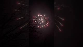 Iron cobra 1.75 artillery shell raccoon fireworks #shorts #fireworks