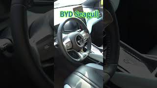 BYD Seagull: Screen Rotation shorts #car #automobile #ev