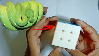 Python Snake🐍Pattern Tutorial Magic Tricks On 3×3 Rubik's Cube #Shorts #youtubeshorts