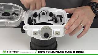 How to maintain main O-rings on Sea Frogs waterproof housings