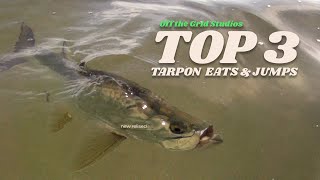 Top 3 Best Tarpon Fishing Jumps and Eats | Epic Fishing Action